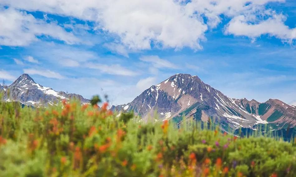 Snowmass Wildflower Hikes