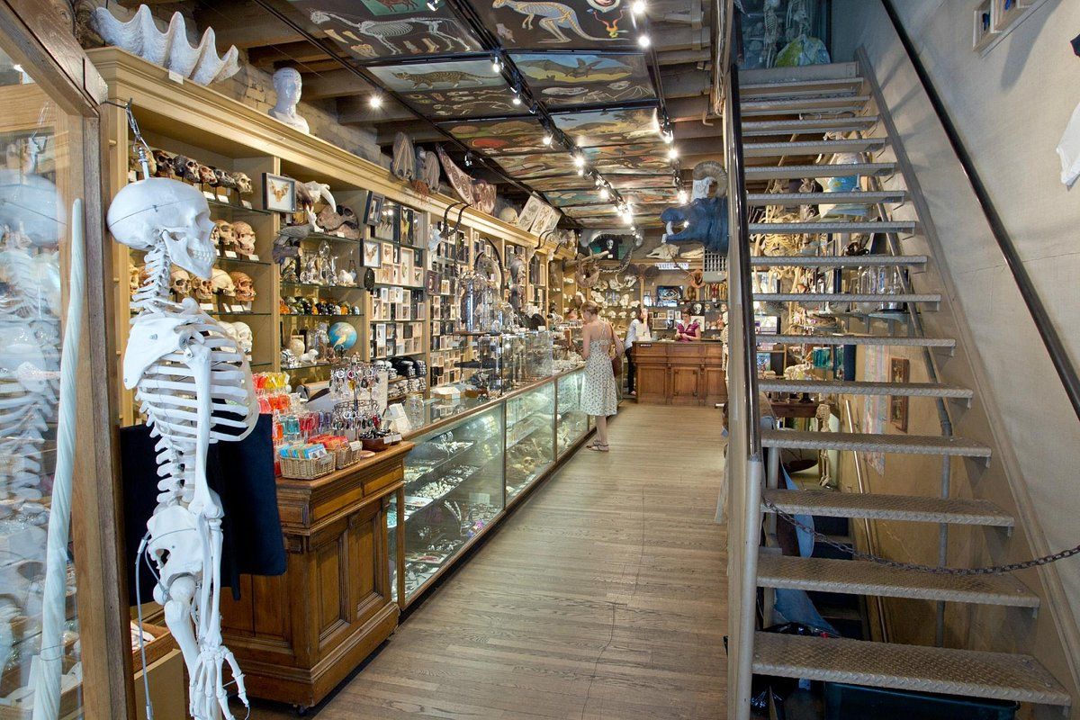 The Evolution Store