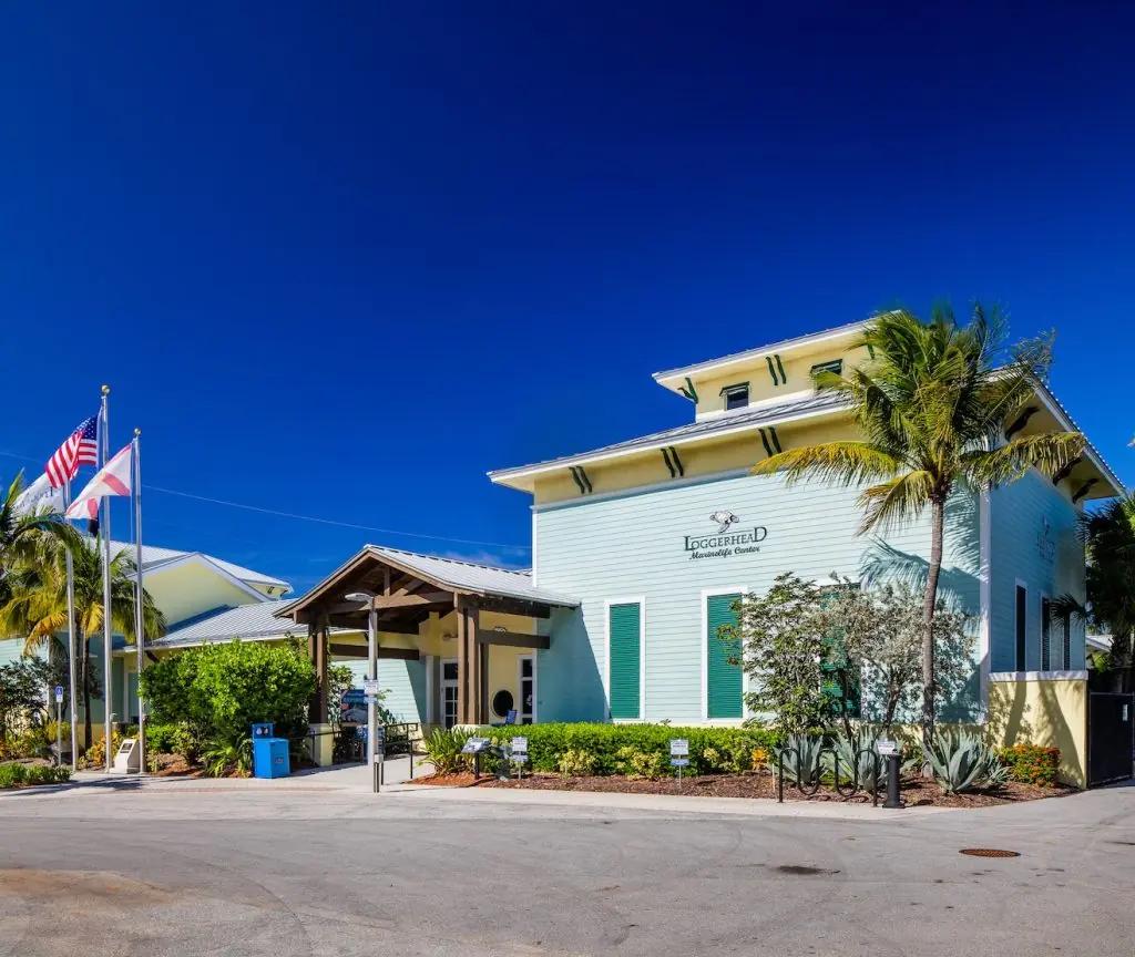 Loggerhead Marinelife Center