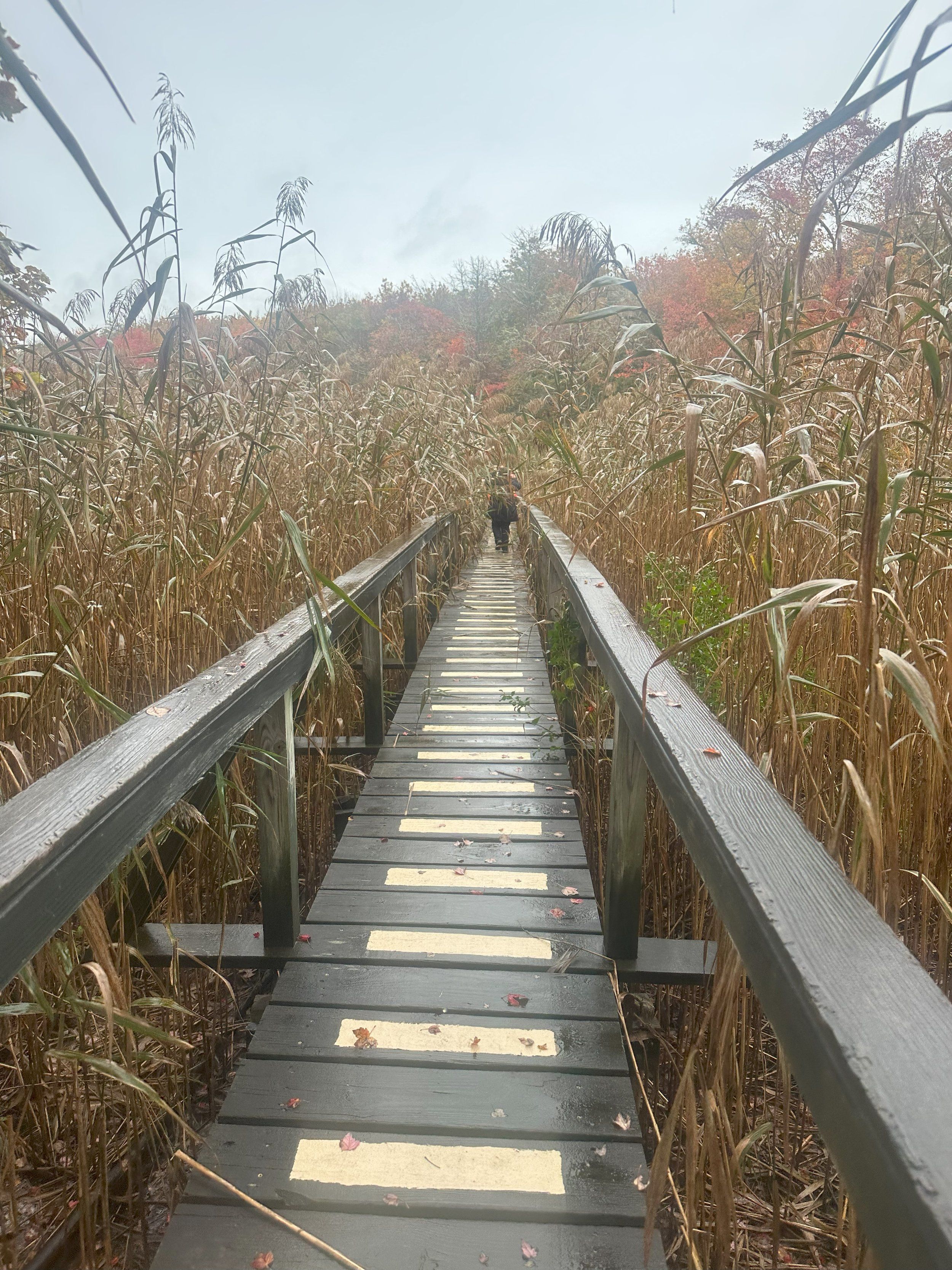 East Hampton Trails Preservation Society