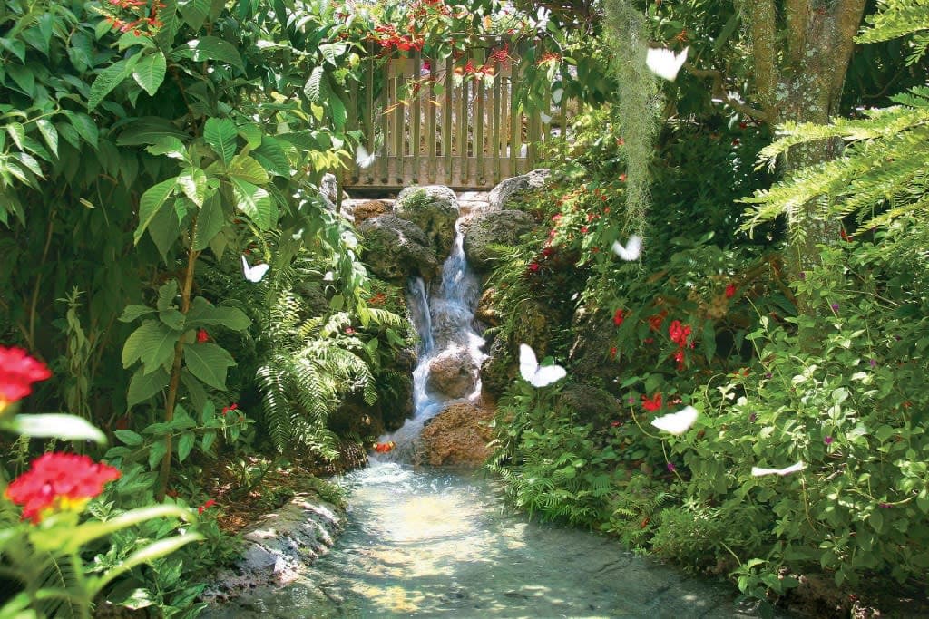 Butterfly World