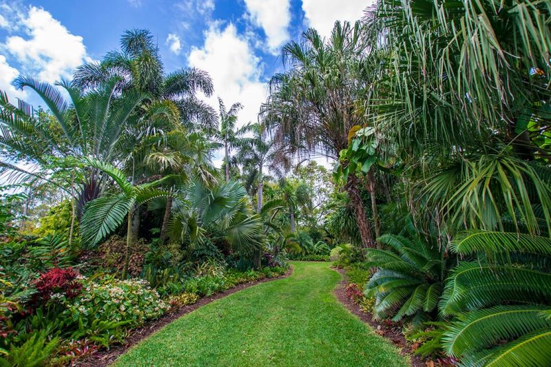 Mounts Botanical Garden