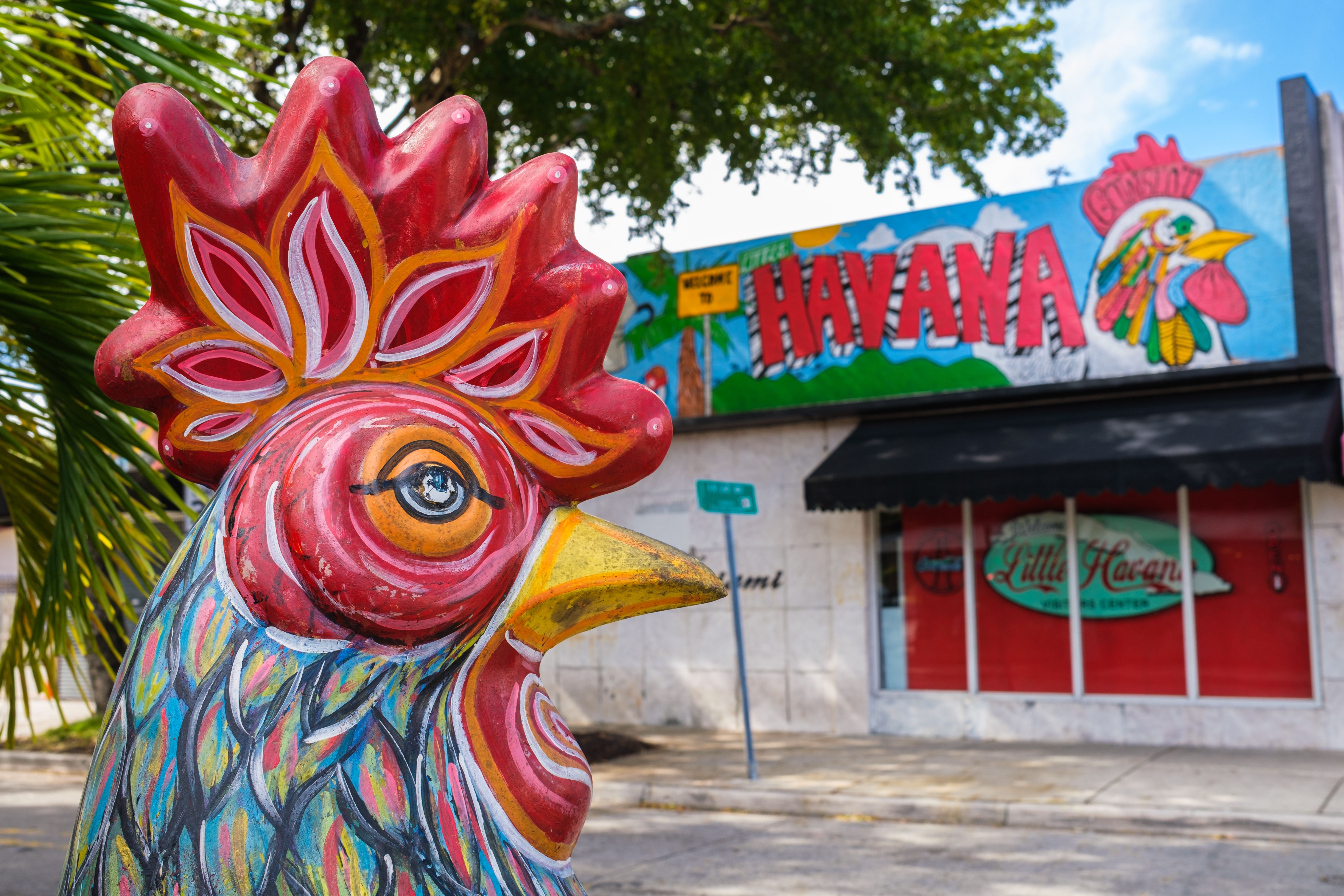 Little Havana