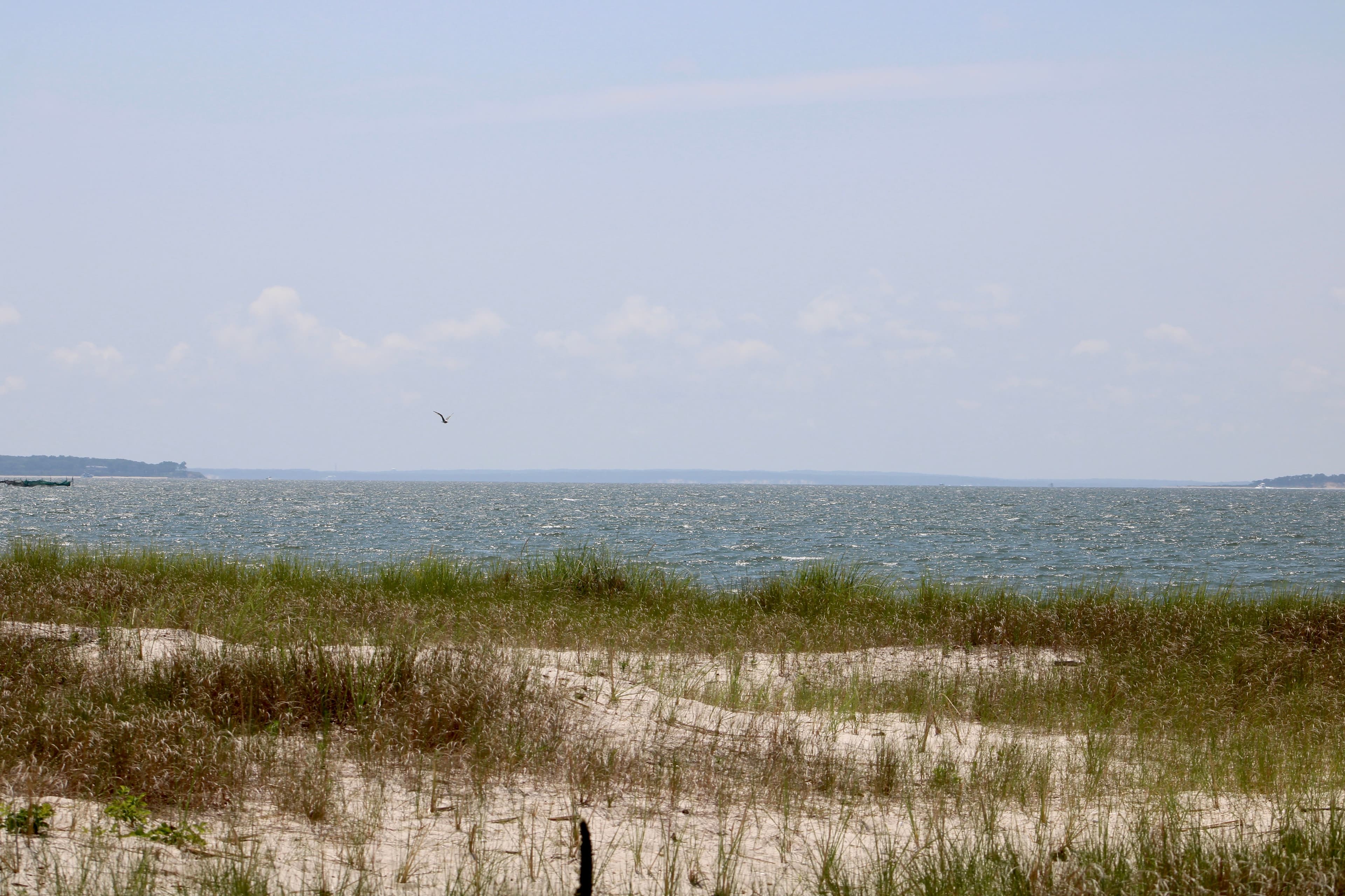 Elizabeth Alexandra Morton National Wildlife Refuge