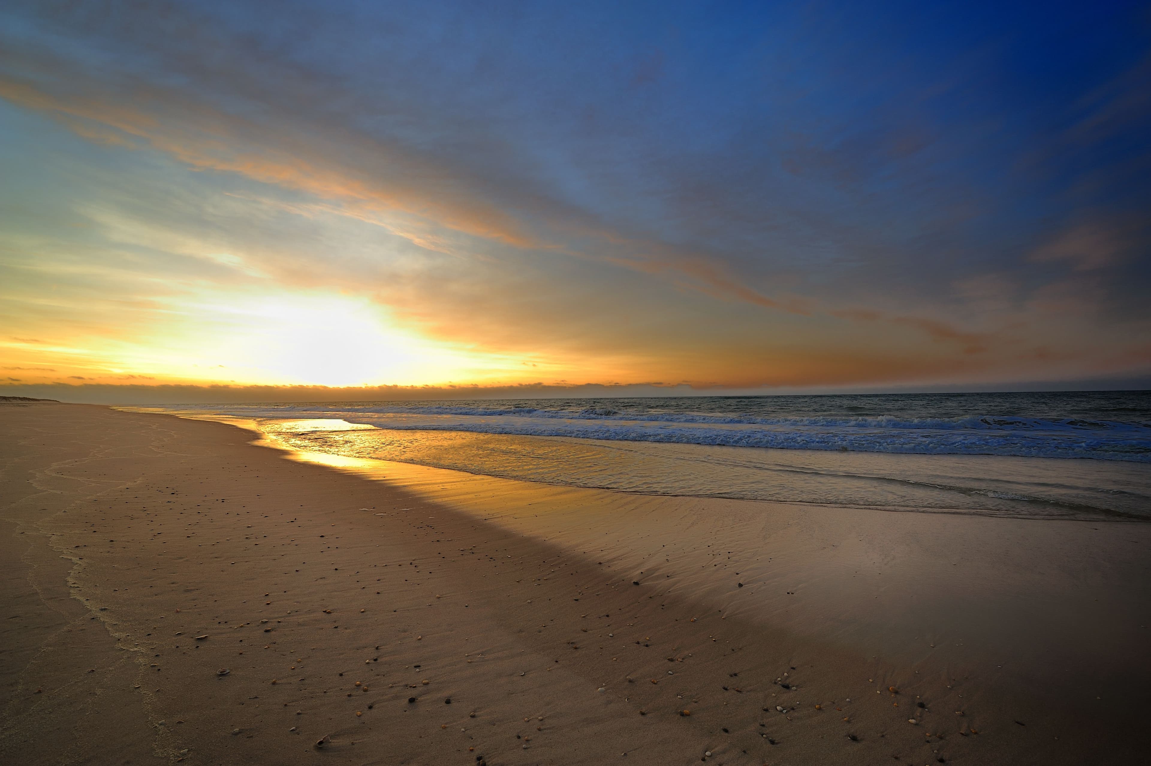 Shell Beach