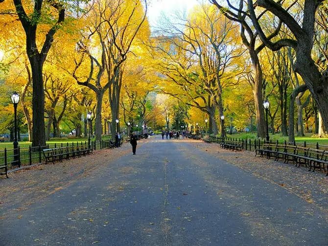Herbert Von King Park