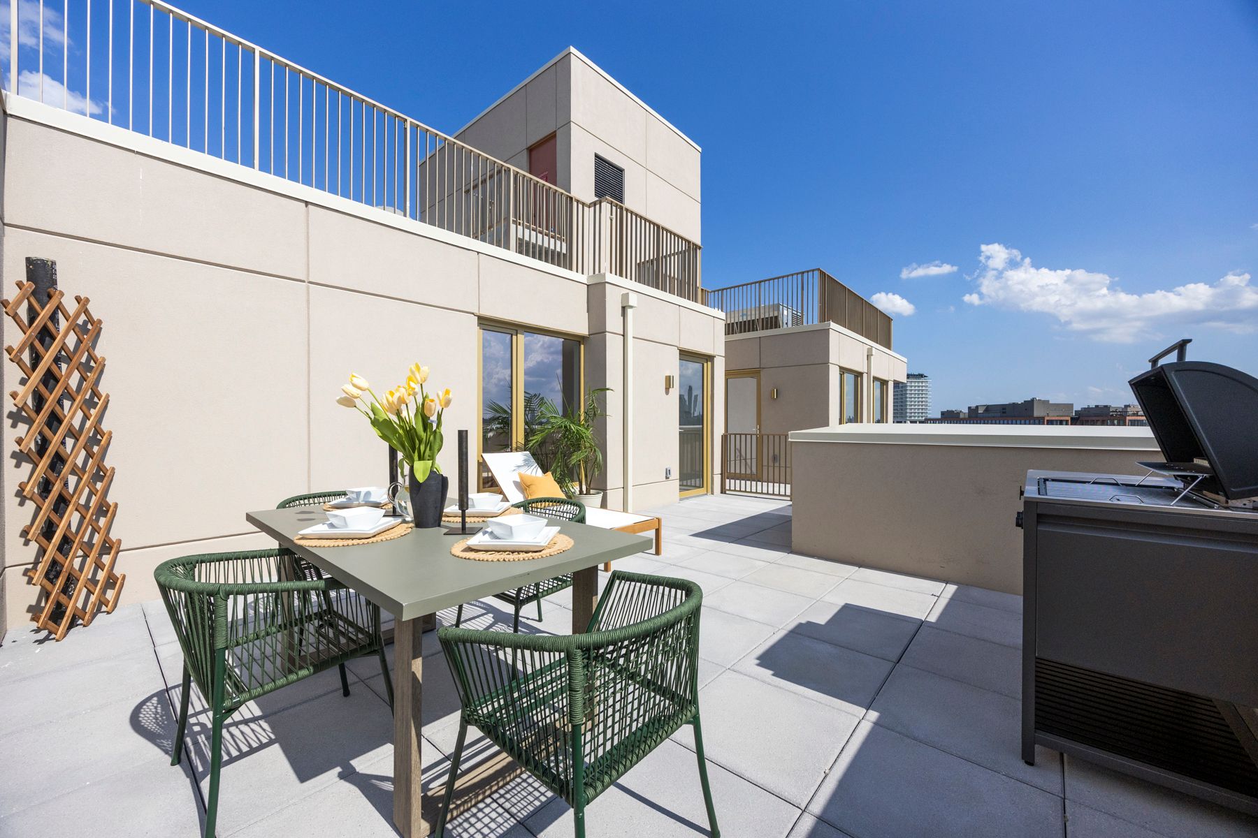 Seren 1102 | Greenpoint | Penthouse w/Private Deck & Views photo 3