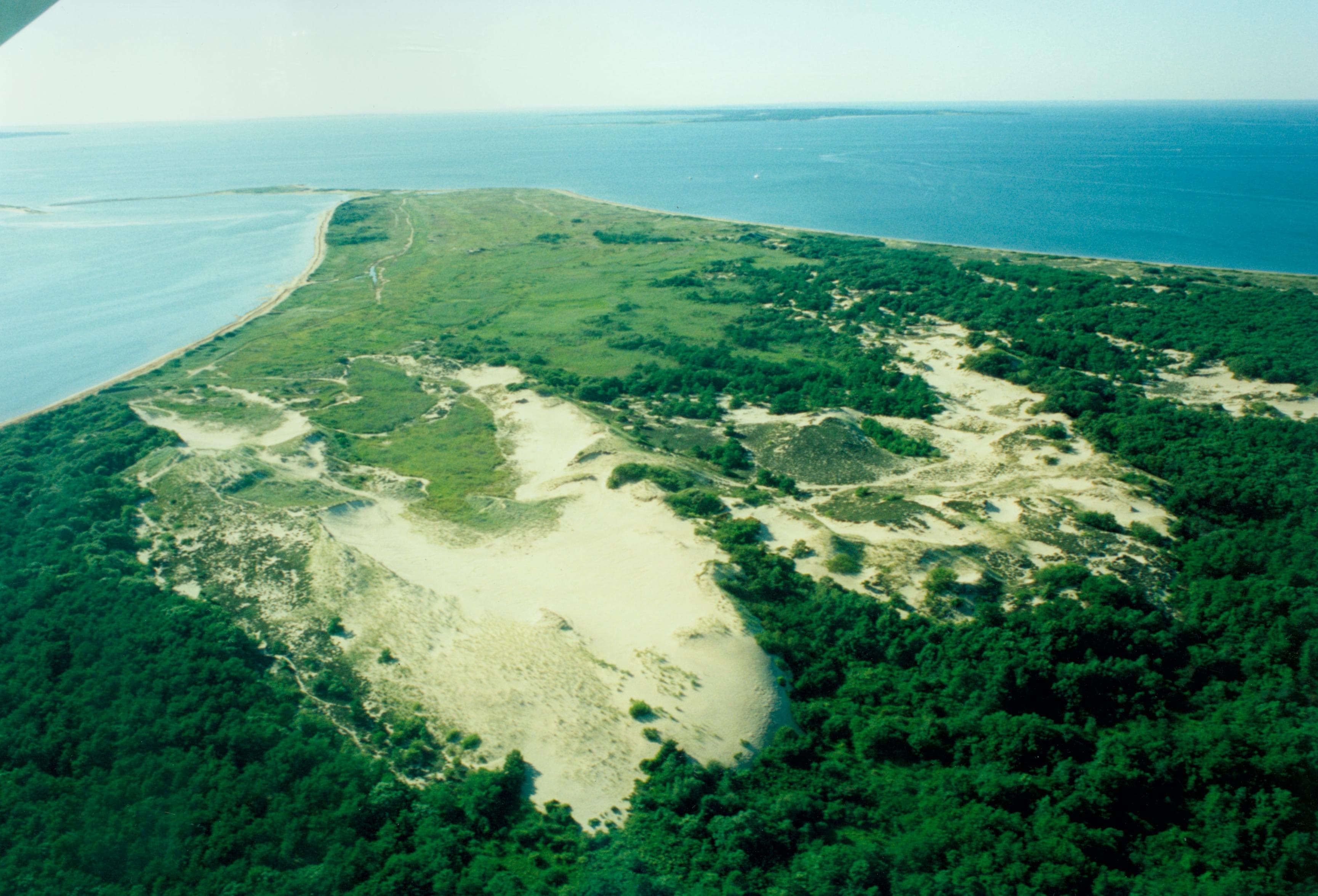 Walking Dunes