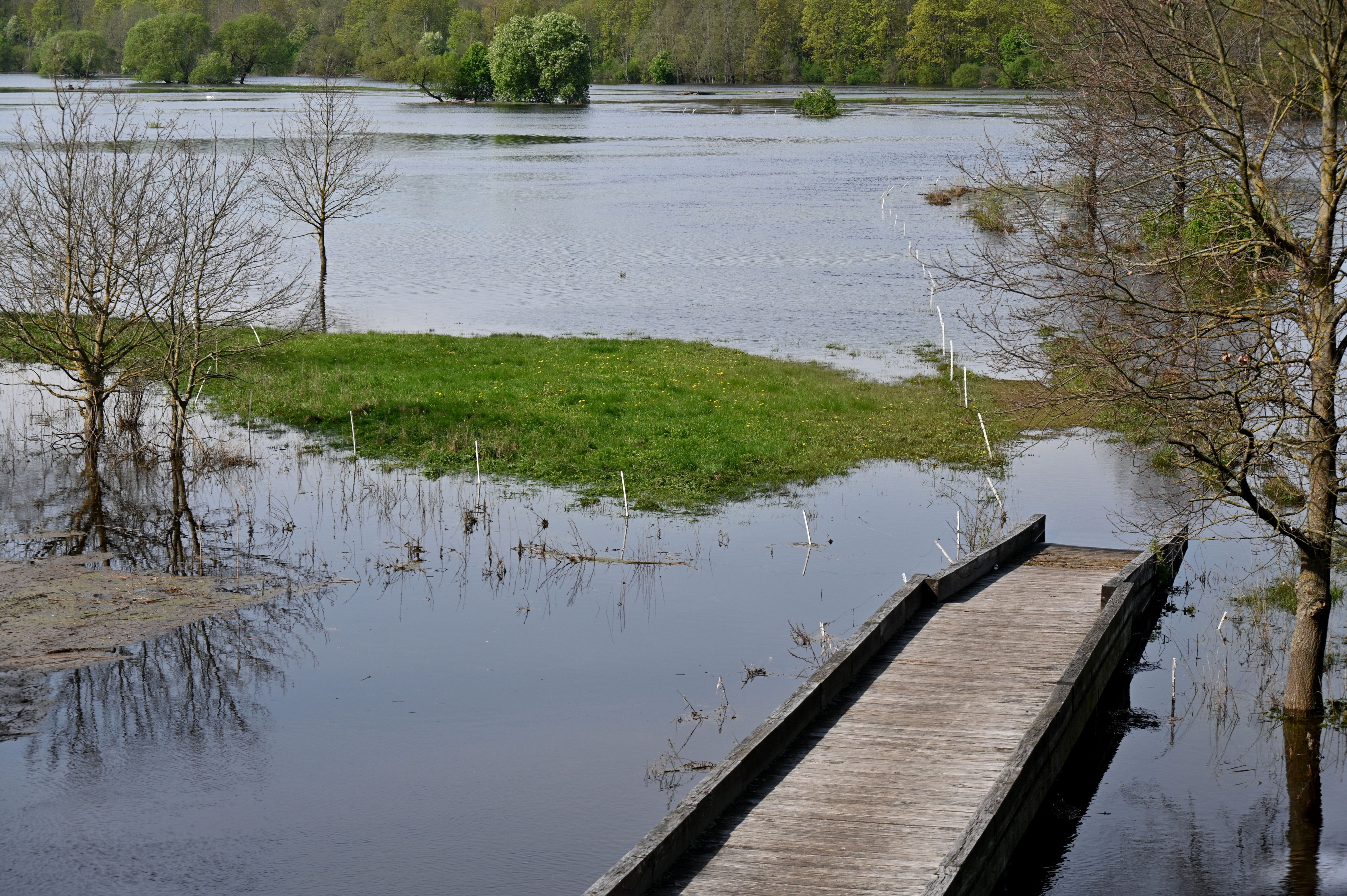Coecles Harbor Marine Water Trail