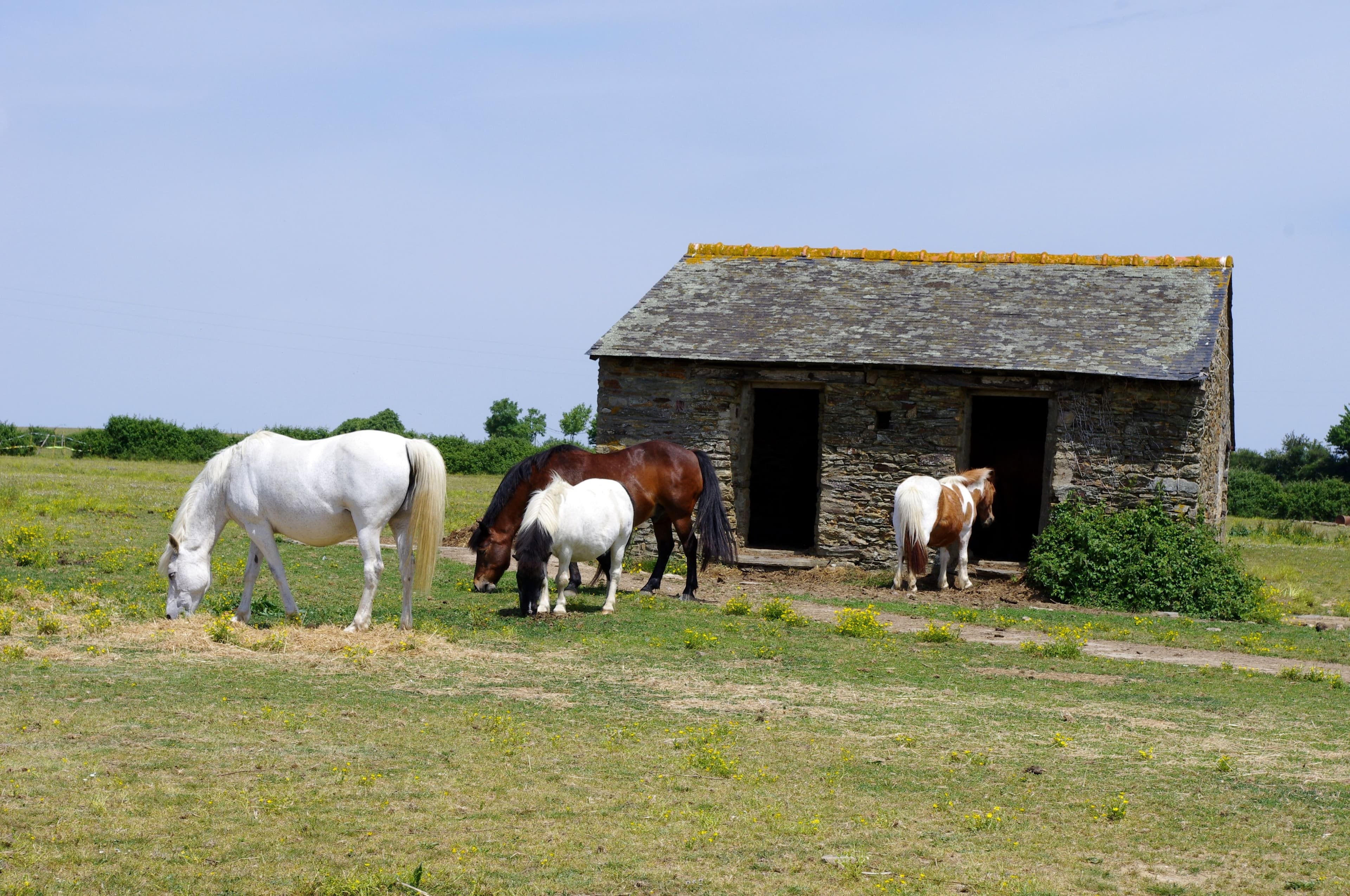 Deep Hollow Ranch