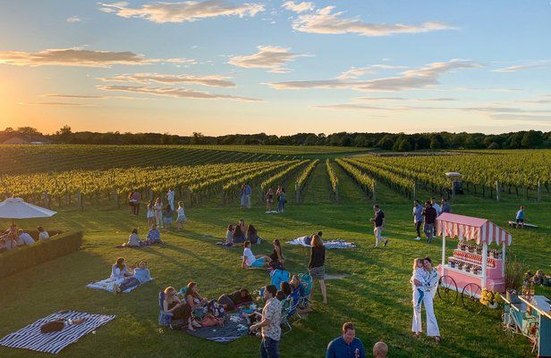 Wolffer Estate Vineyard