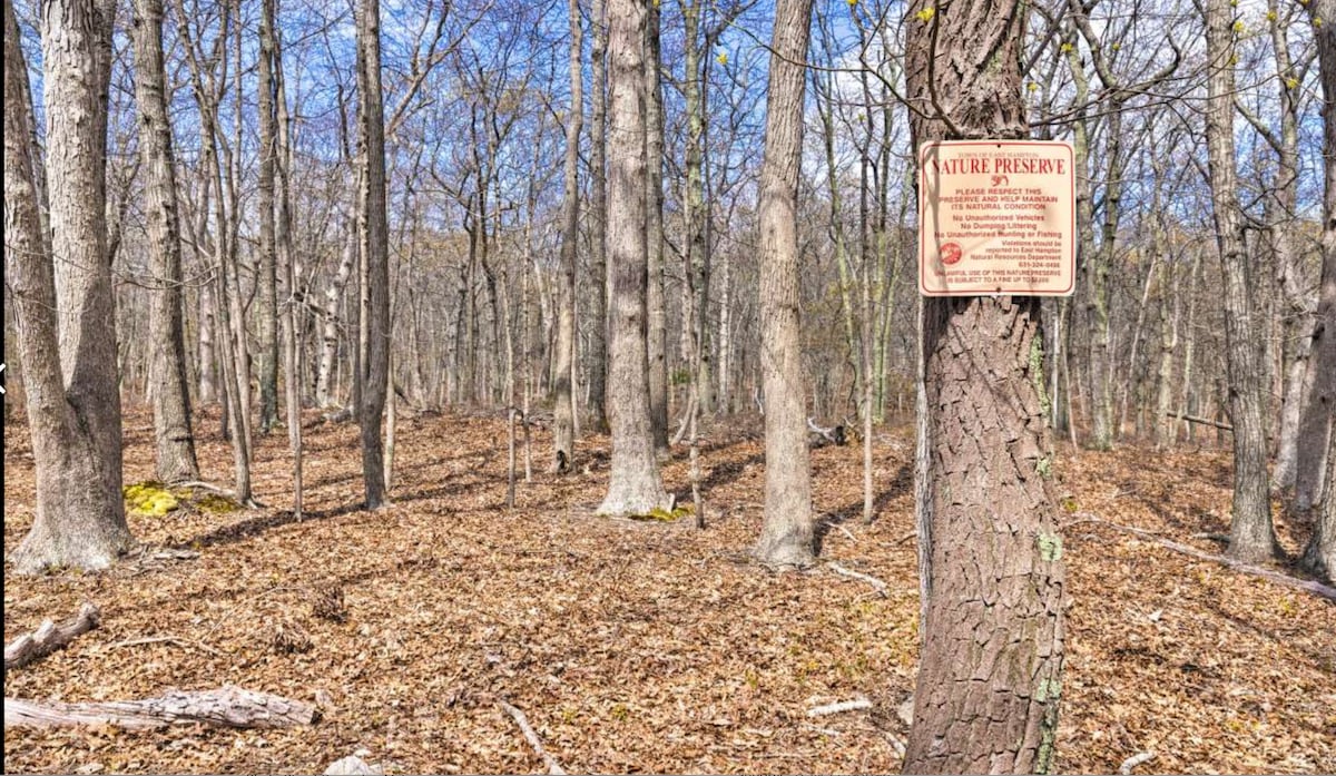 Boulder Villa | East Hampton | Upscale Home with Private Pool photo 29