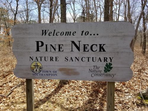 Pine Neck Nature Sanctuary