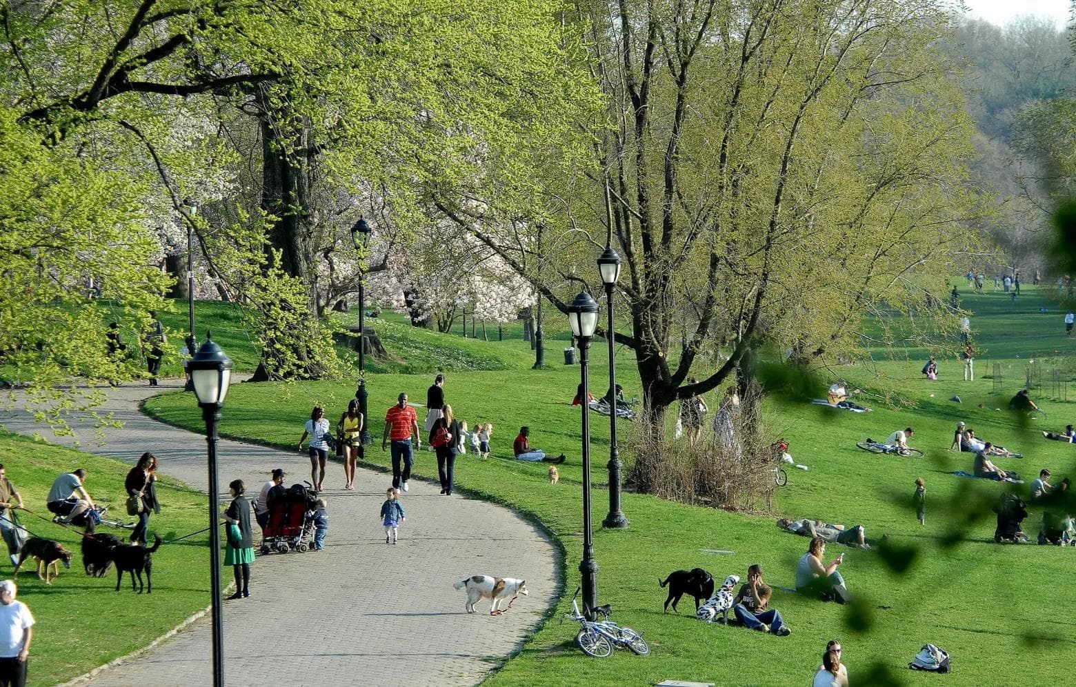 Prospect Park