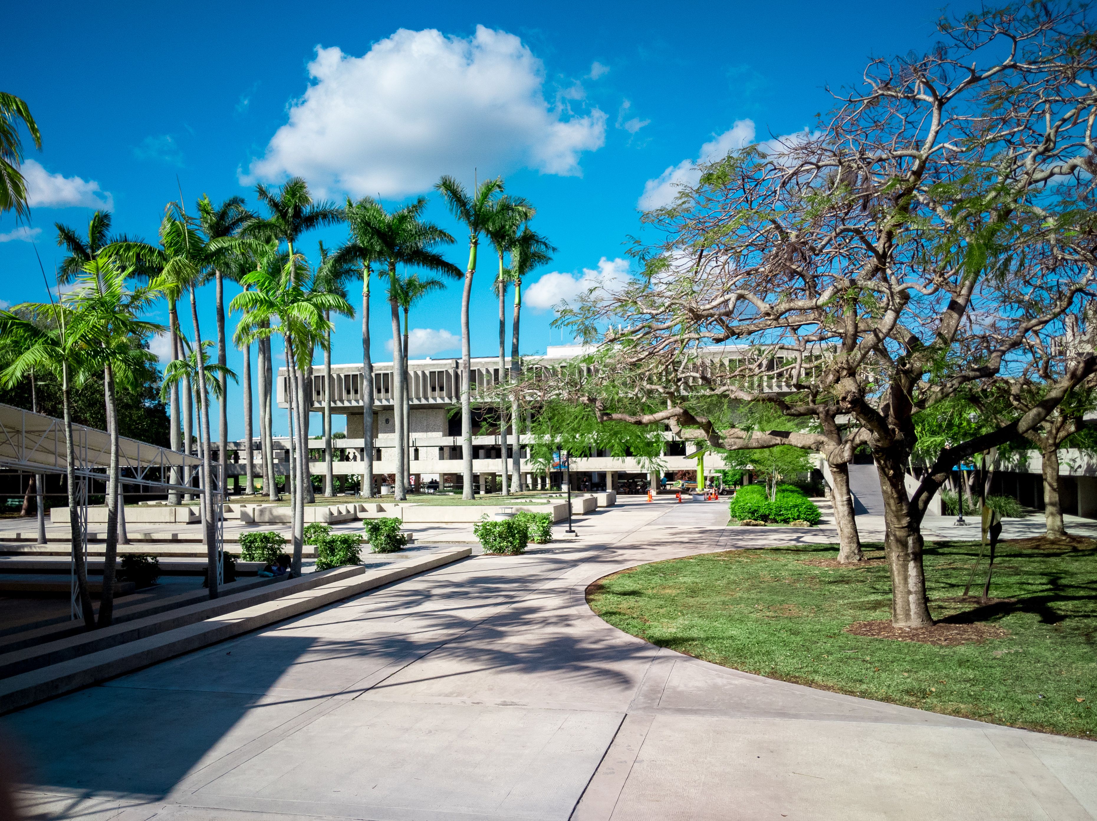 Rhythm Foundation’s North Beach Bandshell