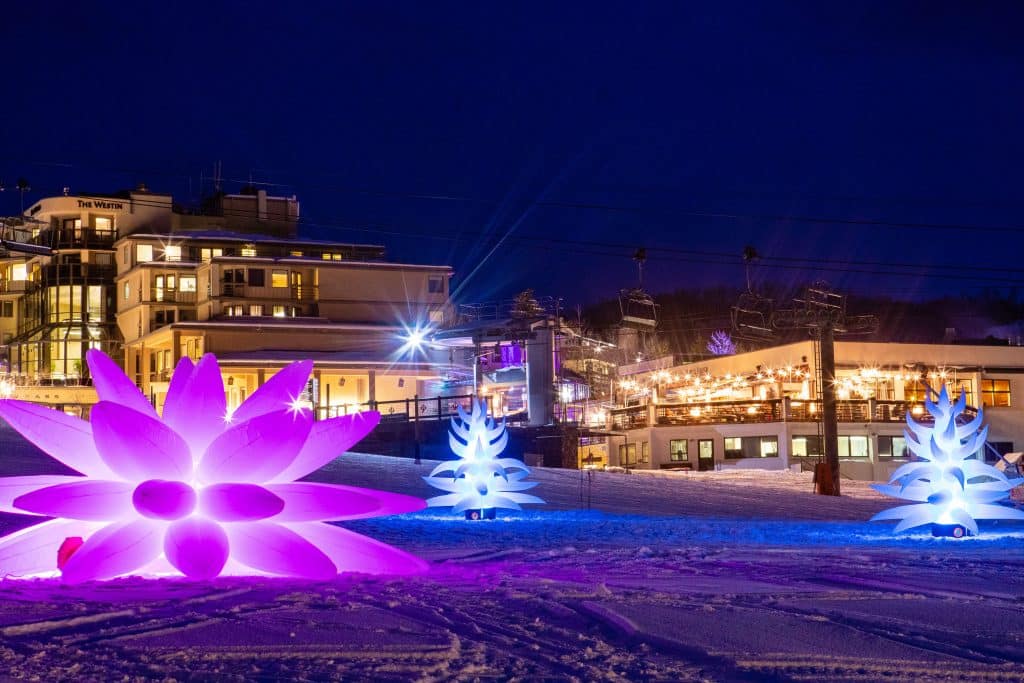 Snowmass Luminescence
