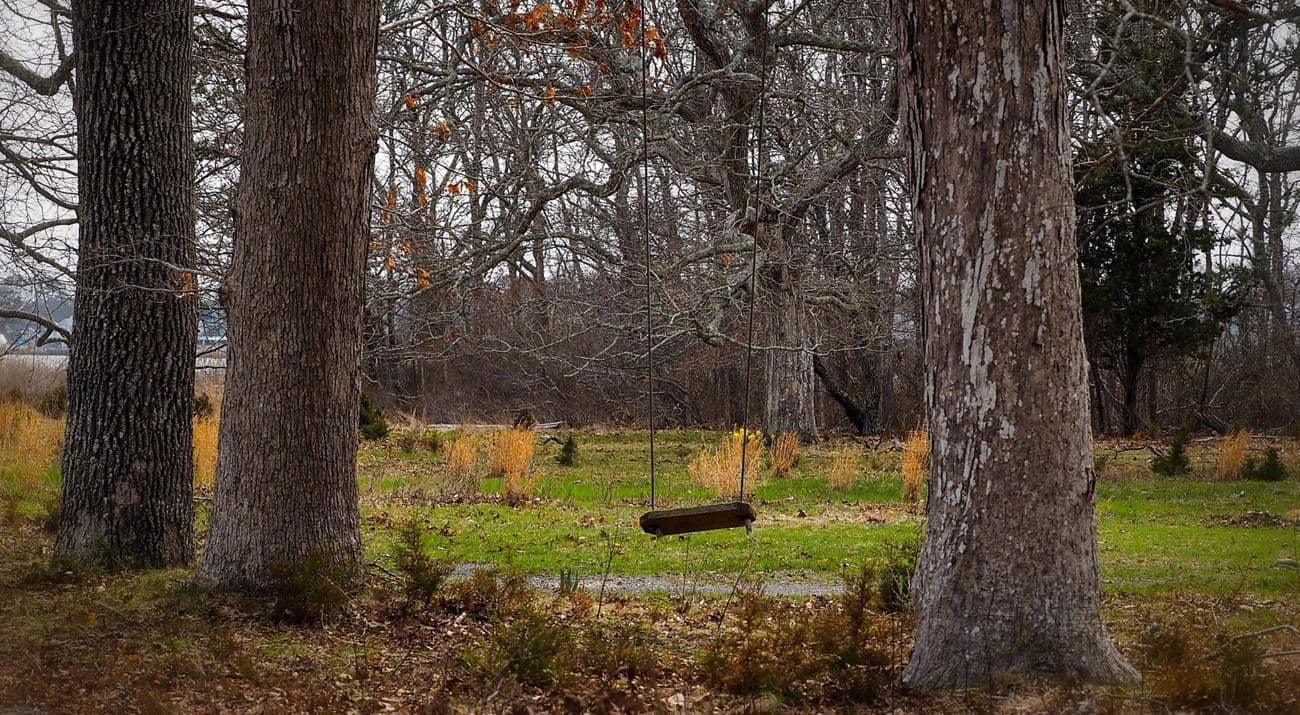 Westhampton Dwarf Pine Plains Preserve