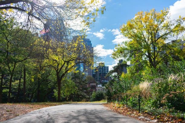 Fort Greene Park