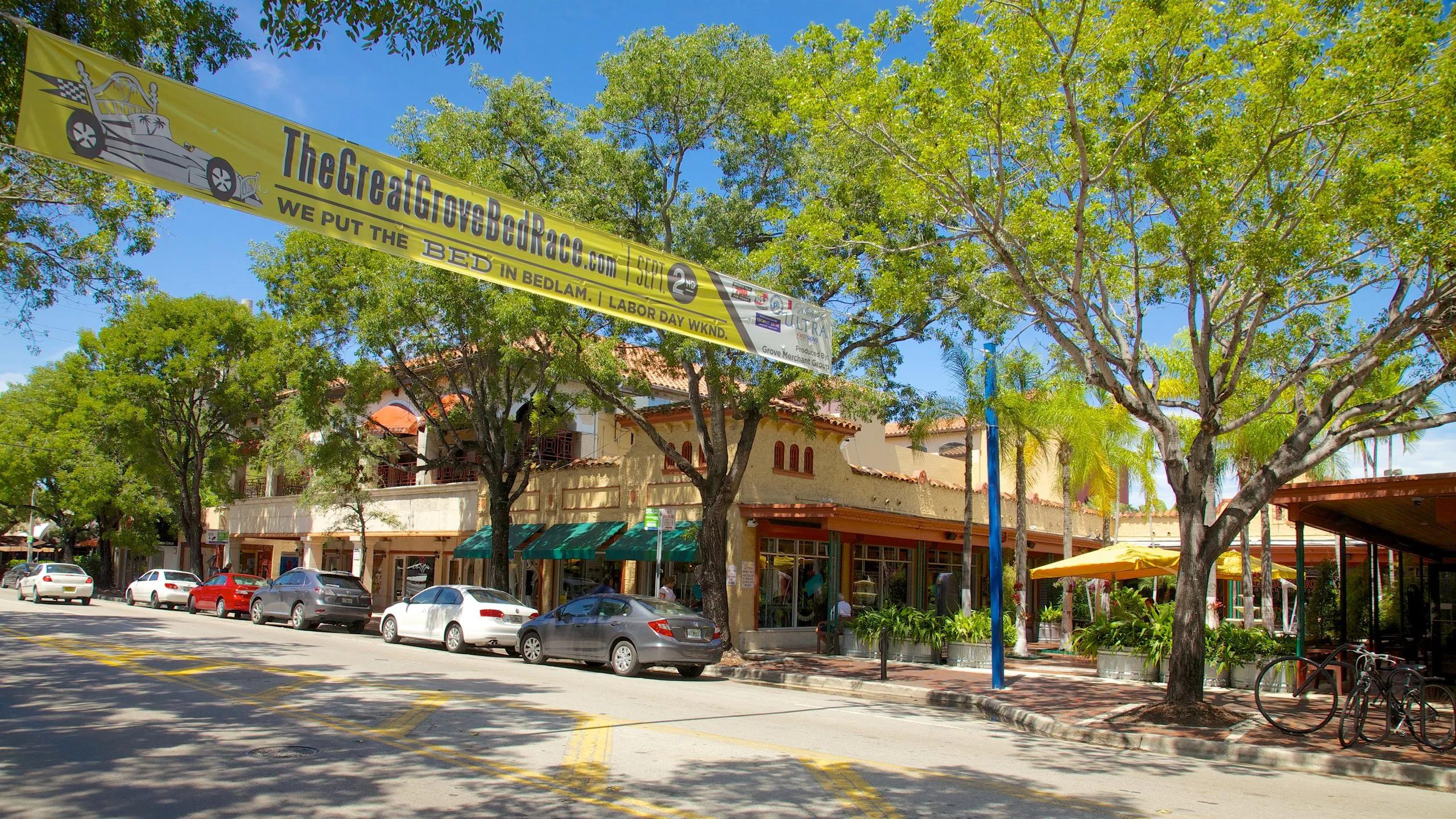 Coconut Grove Shopping