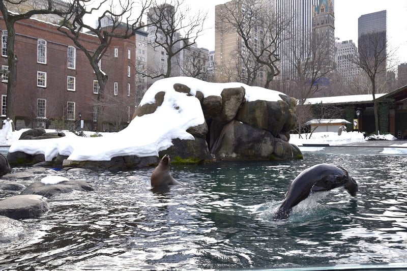 Central Park Zoo