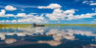 Sawgrass Recreation Park