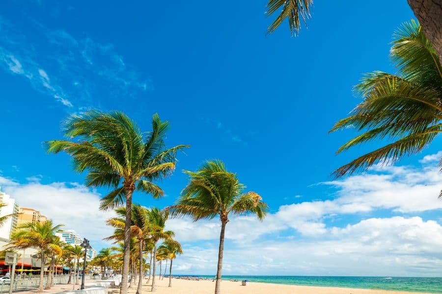 Las Olas Beach