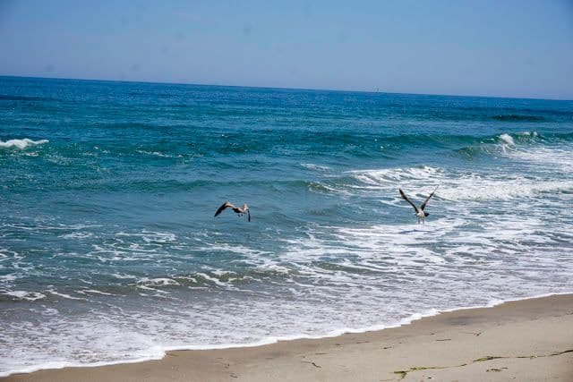 Tiana Beach