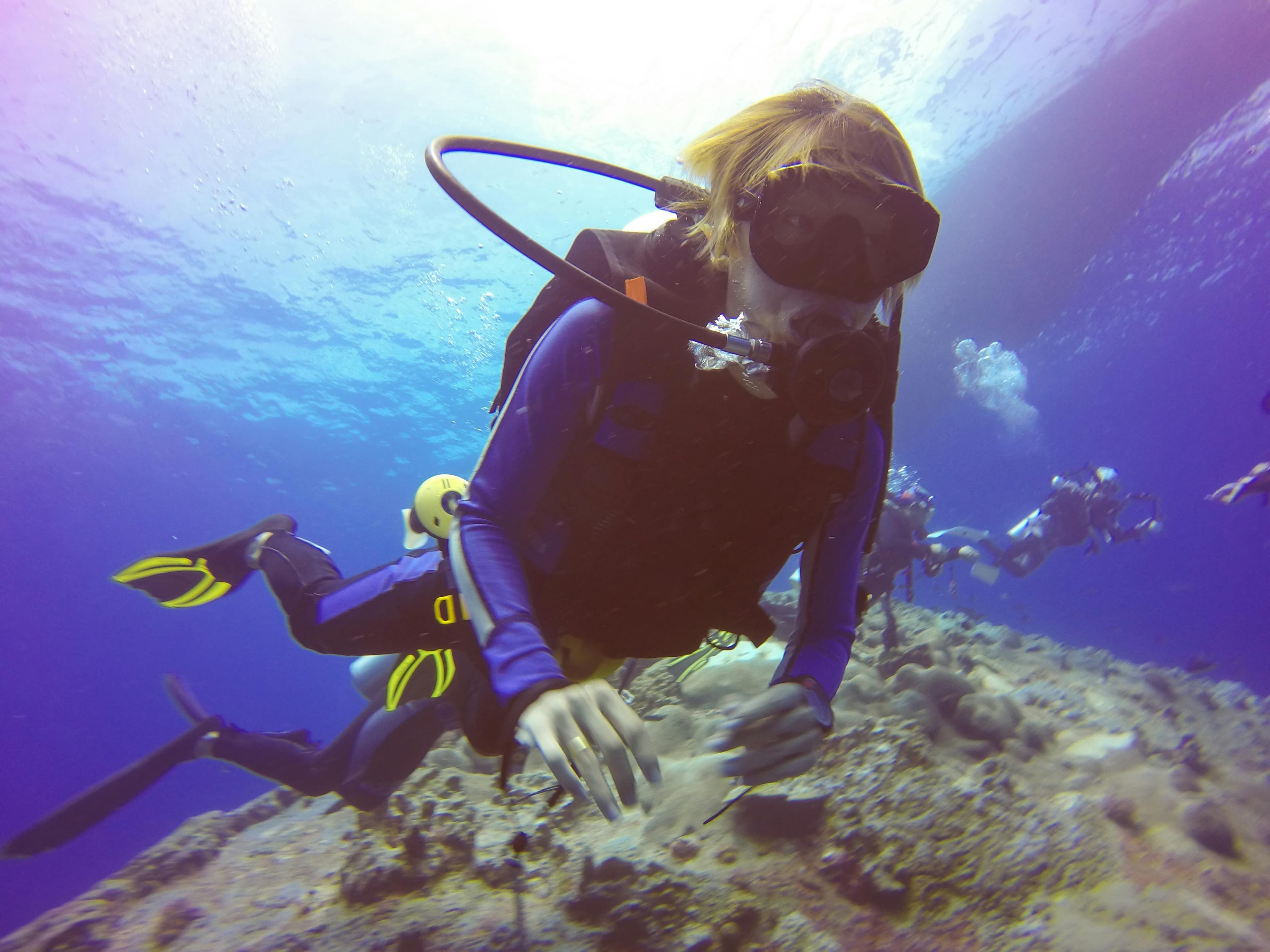Hampton Dive Center