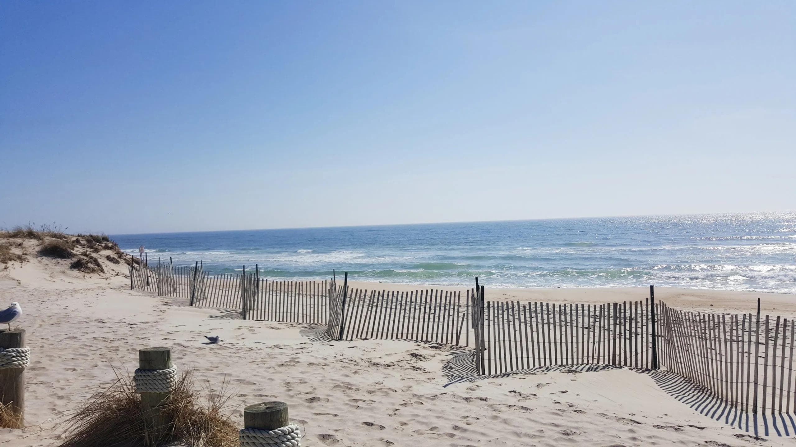 Flying Point Beach