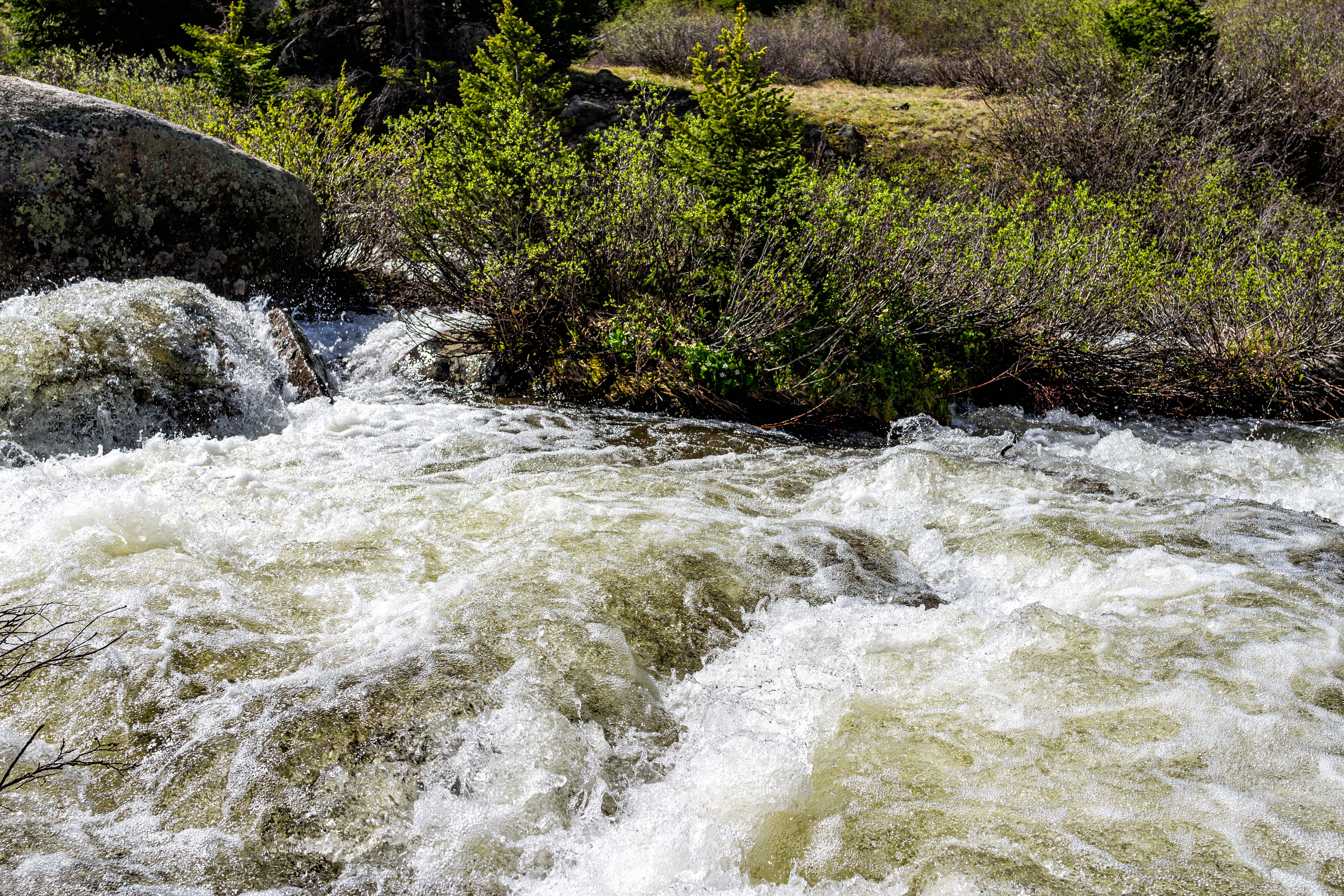 Whitewater Rafting on the Roaring Fork