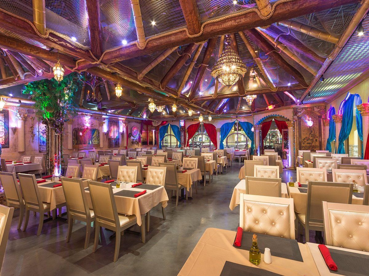 Rocket at Kitty's Diner