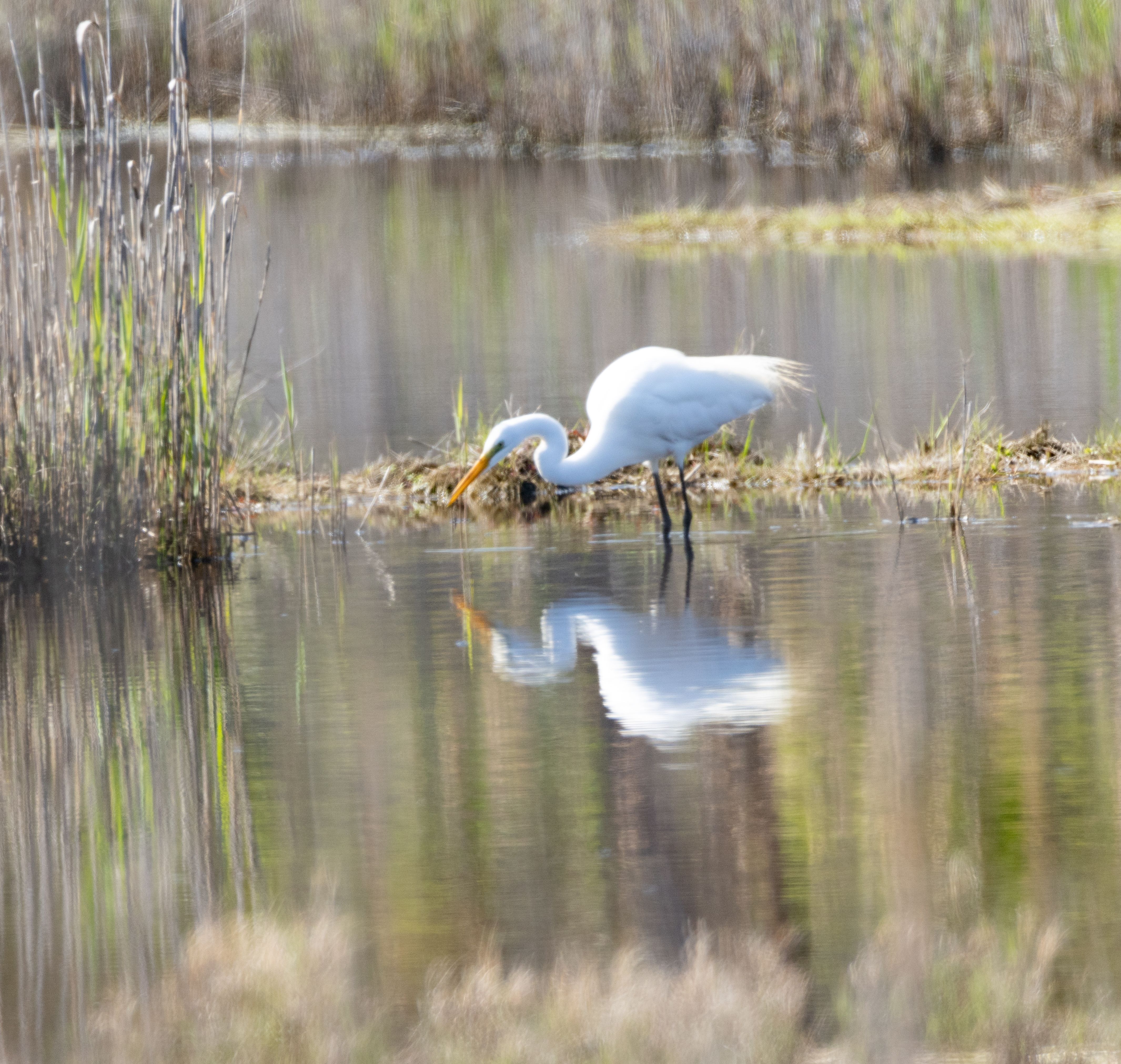 Amagansett National Wildlife Refuge