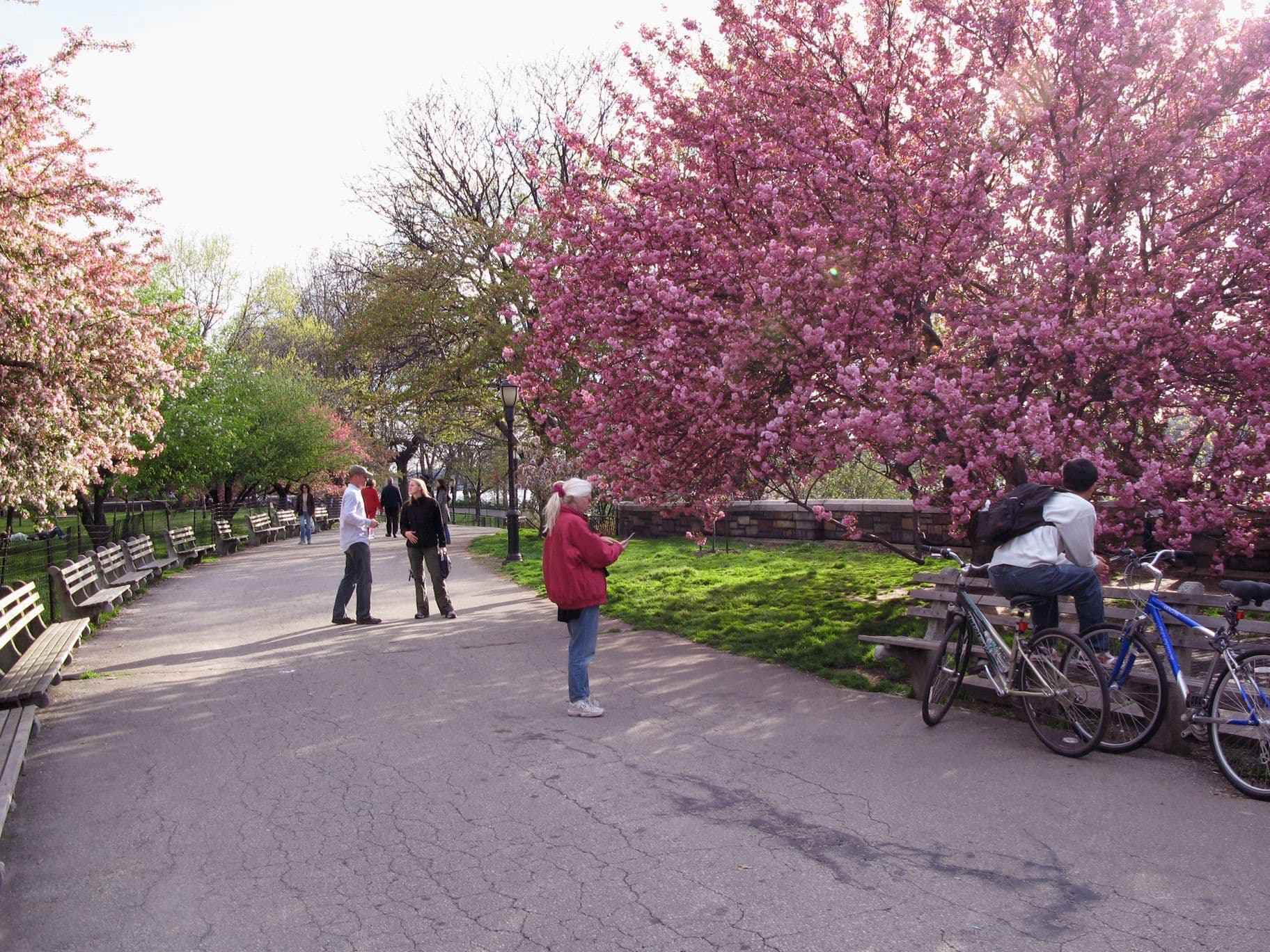 Msgr. McGolrick Park