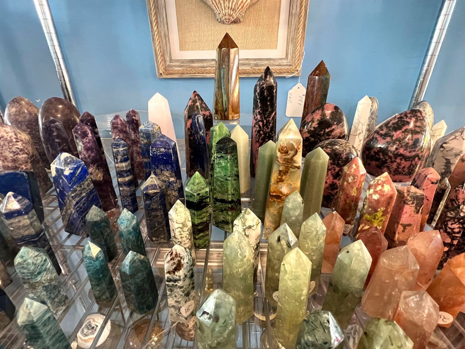 Blooming Shells