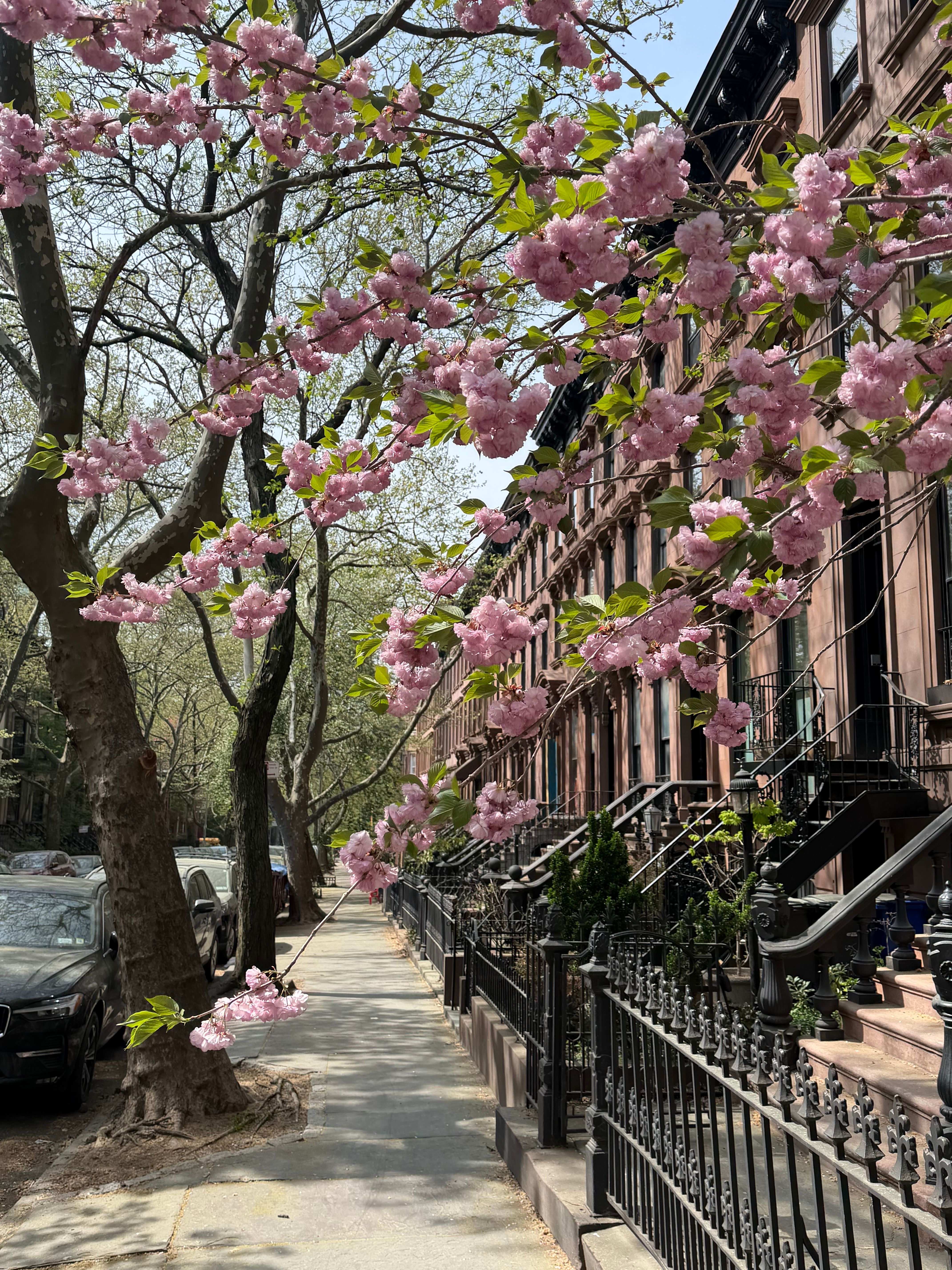 Hertford Place | Park Slope | Stylish Home w/ Garden View photo 30