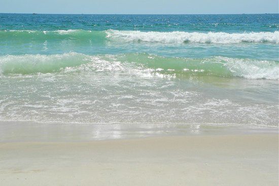 Rove's Featured Must-See: Cupsogue Beach County Park