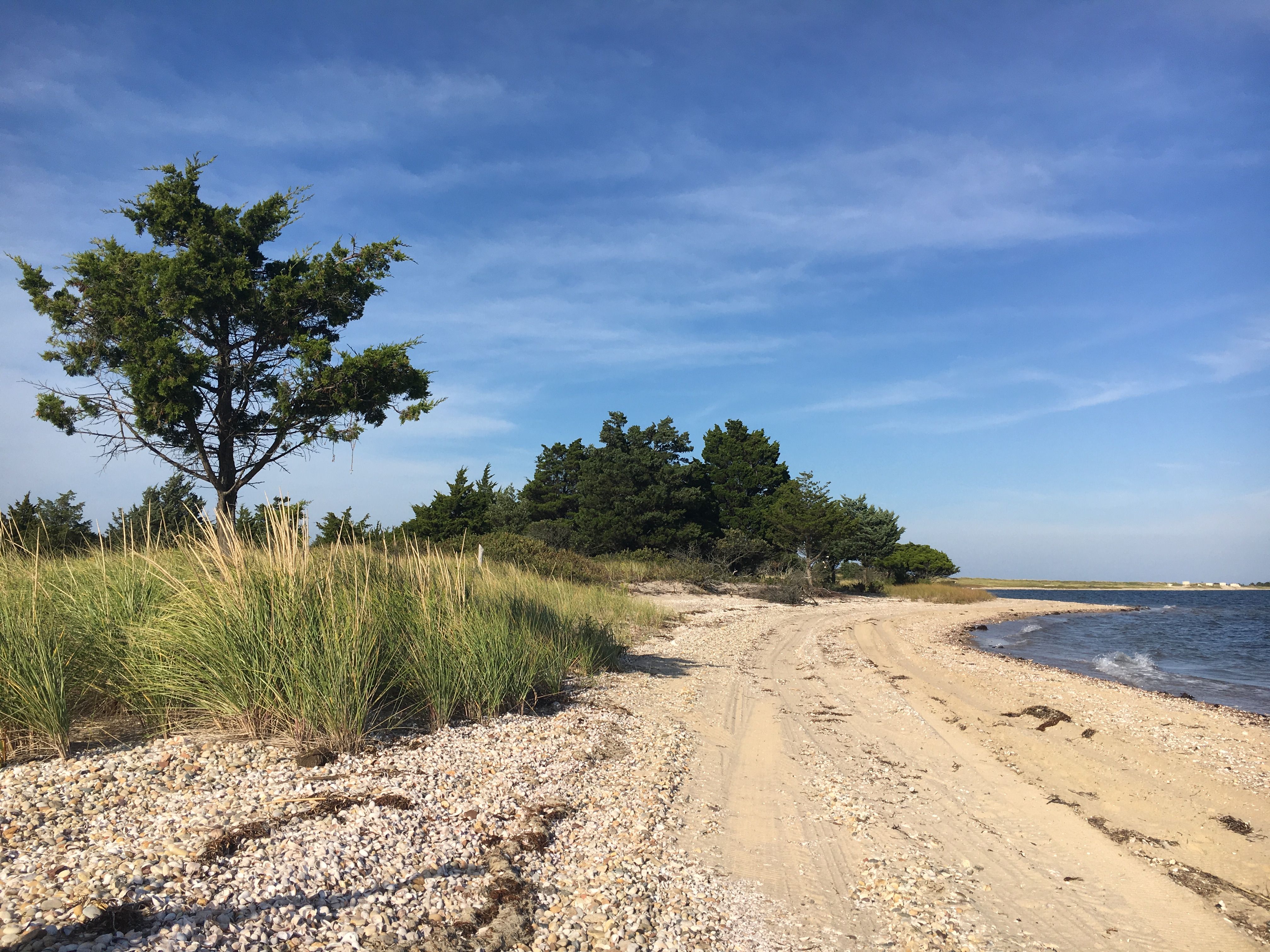 Cedar Point County Park