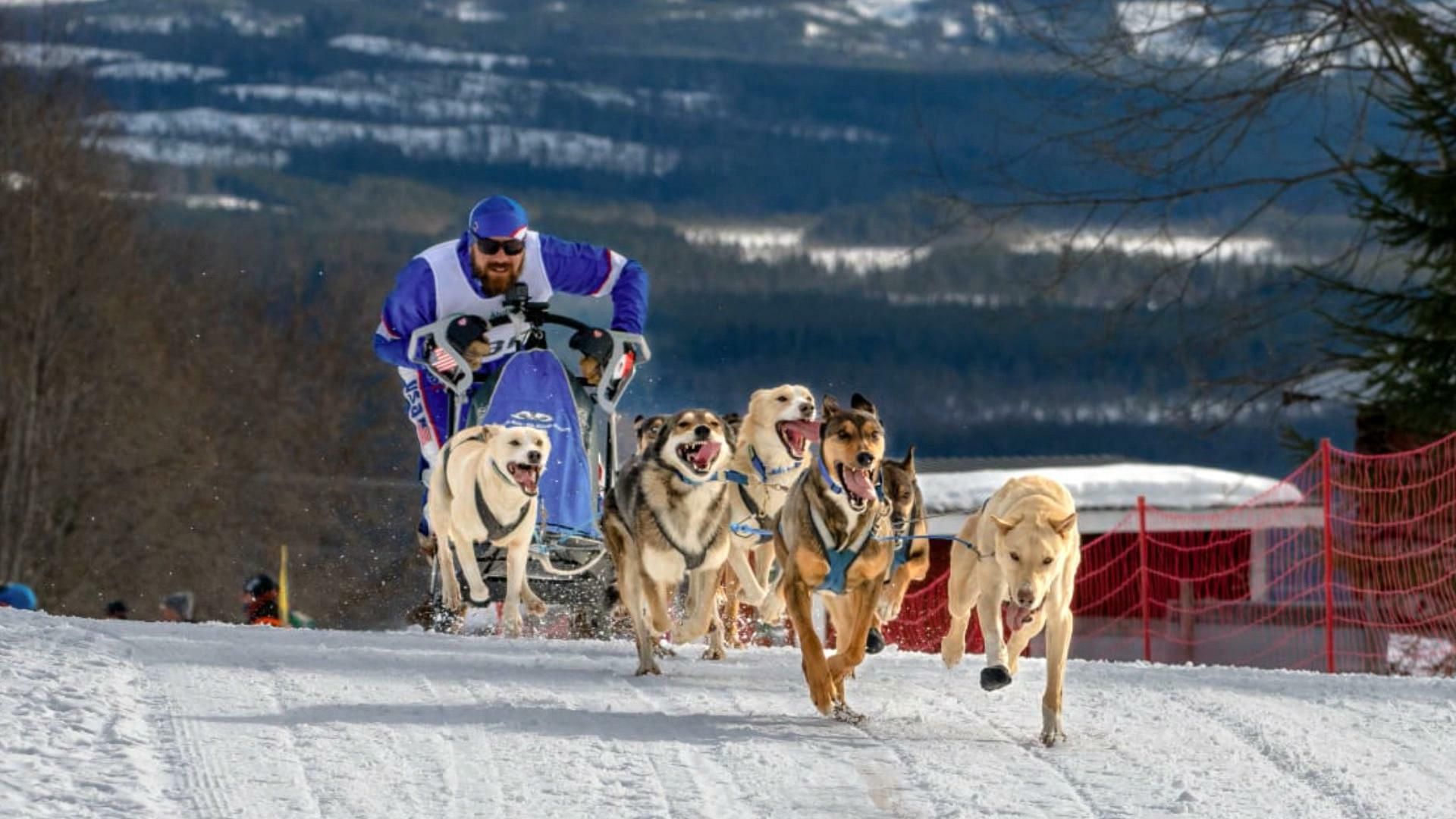 Krabloonik Dogsledding