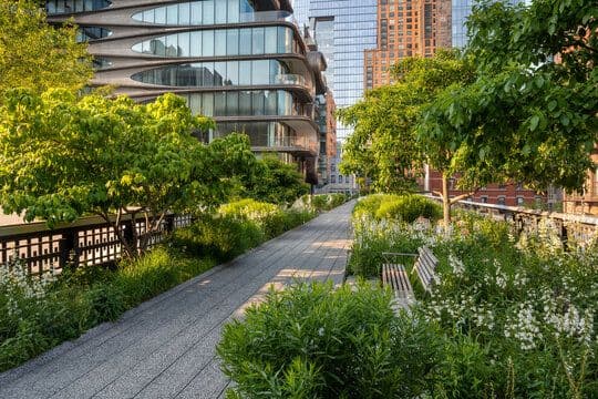 The High Line
