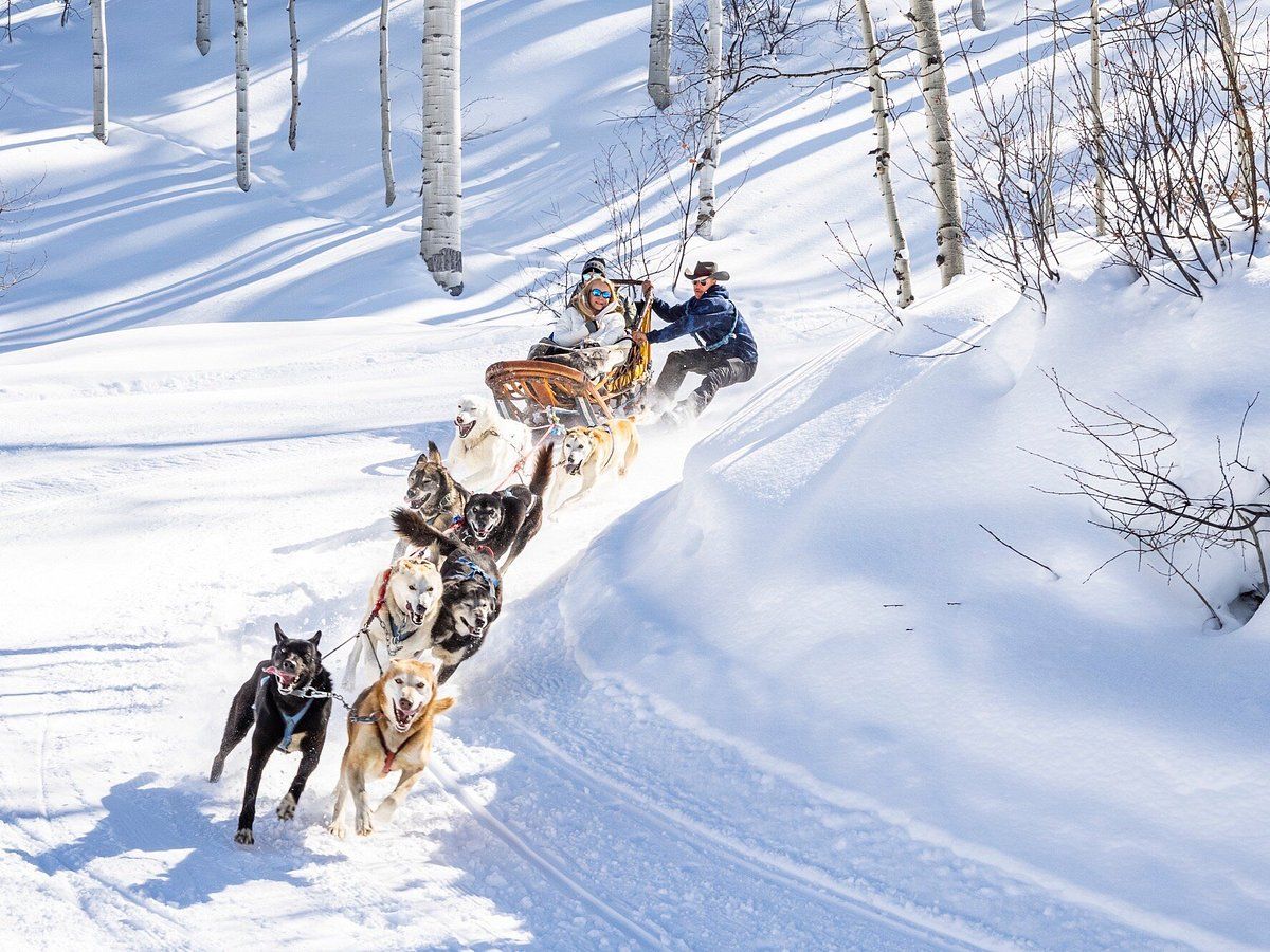 Krabloonik Dogsledding
