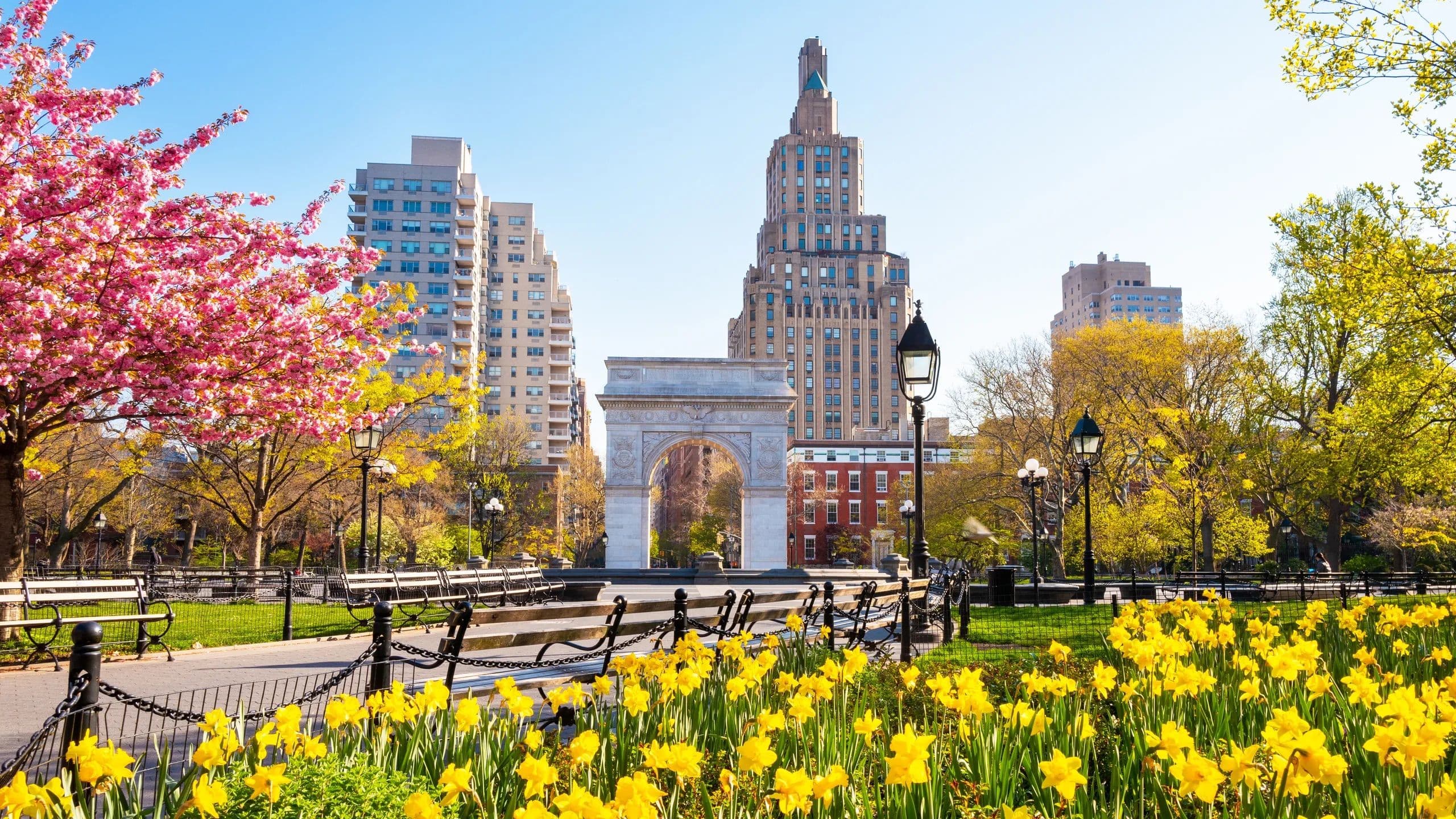 Rove's Featured Must-See: Washington Square Park