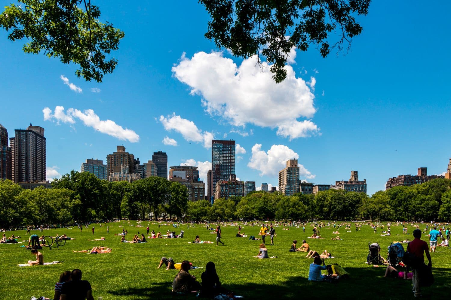 Central Park