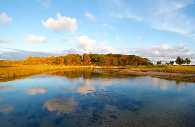 Mashomack Preserve's