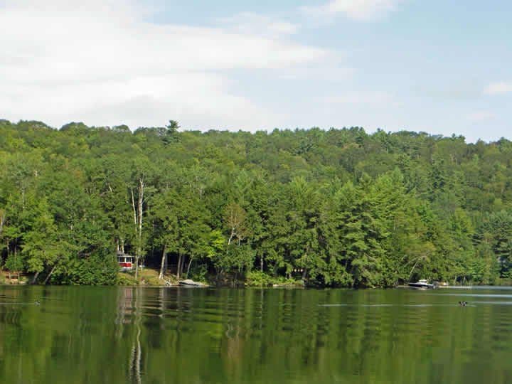 Tacoma Lakes Ranch