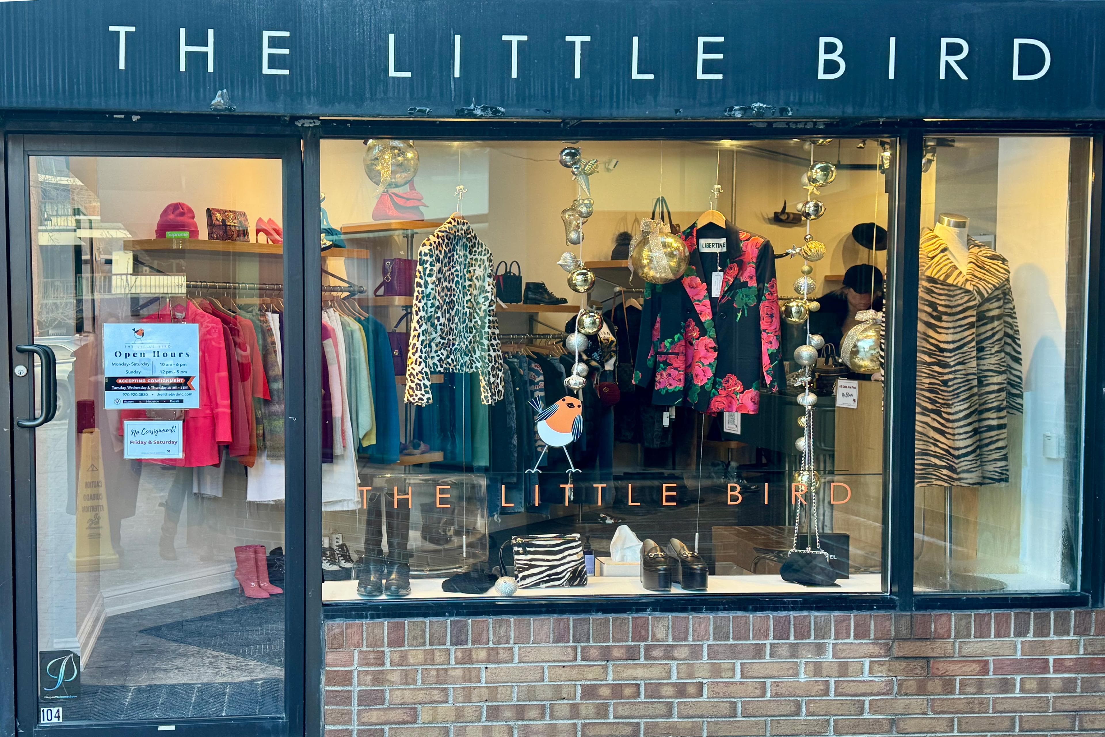 The Little Bird