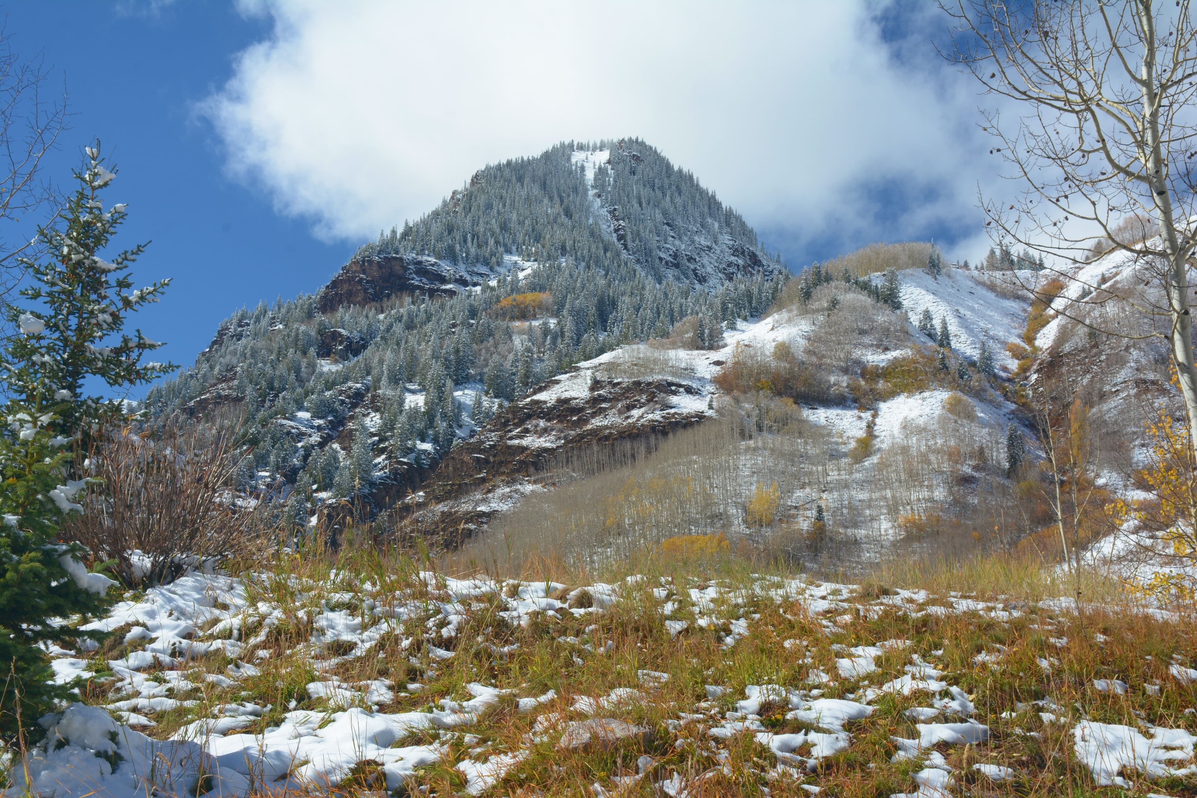 Gwyn’s High Alpine