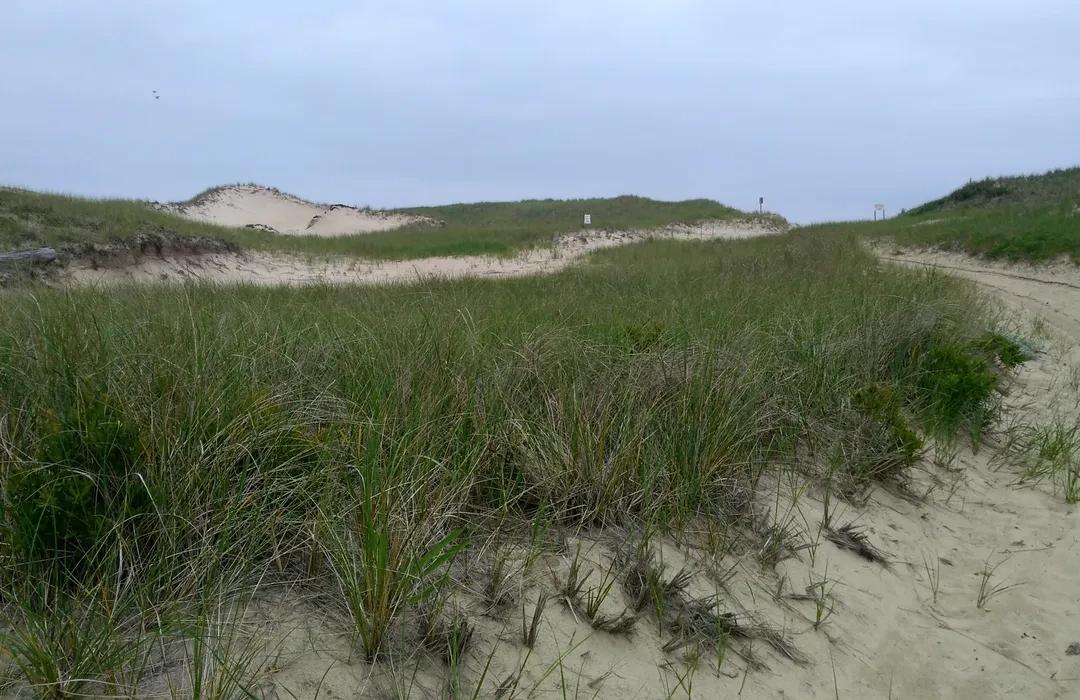 Napeague State Park