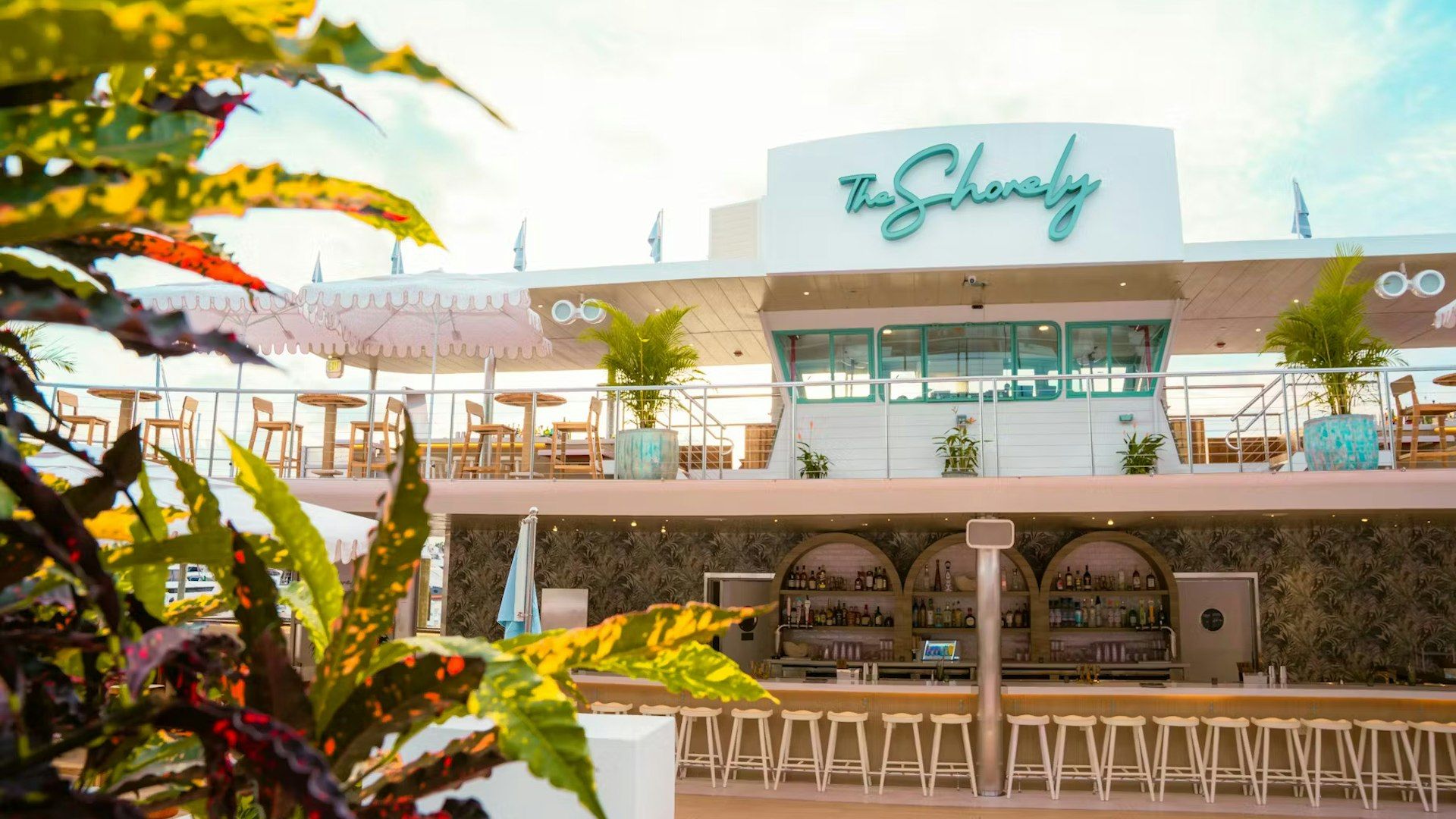 Asian-inspired dishes