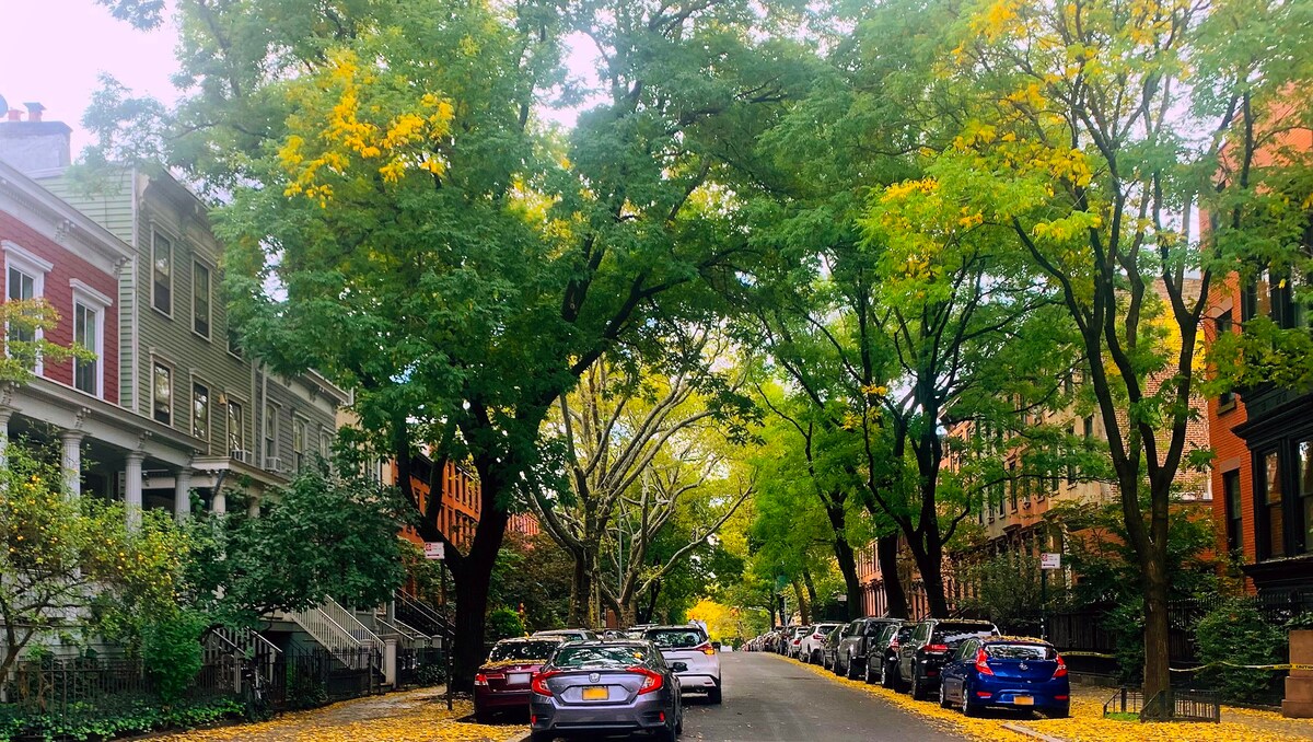 Adelphi I | Ft Greene | Apartment w/ Backyard, Patio and Porch photo 33